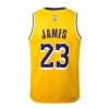 Los Angeles Lakers 2021-2022 LeBron James 23 Swingman Authentic Forma