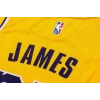 Los Angeles Lakers 2021-2022 LeBron James 23 Swingman Authentic Forma