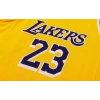 Los Angeles Lakers 2021-2022 LeBron James 23 Swingman Authentic Forma