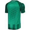 Werder Bremen 2024-2025 Forma Home