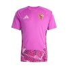 Sevilla 2026-2027 Kaleci Forması