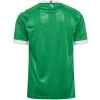 Saint-Etienne 2026-2027 Forma Home