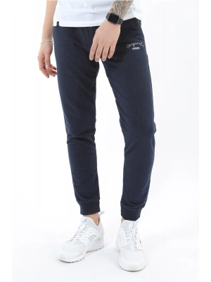 Airlife Flamlı Wrestling Eşofman Altı 15062 Lacivert