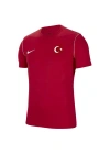 Nike Dry Park Milli Takım Baskılı Tişört BV6883-657