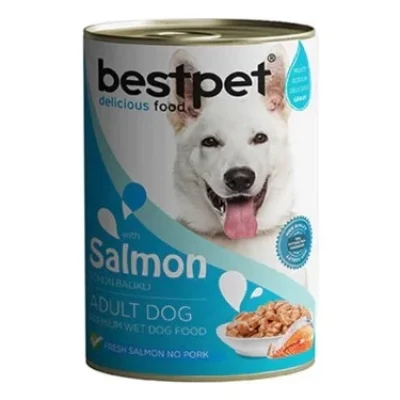 Bestpet Somonlu Soslu Yetişkin Köpek Konservesi 400GR