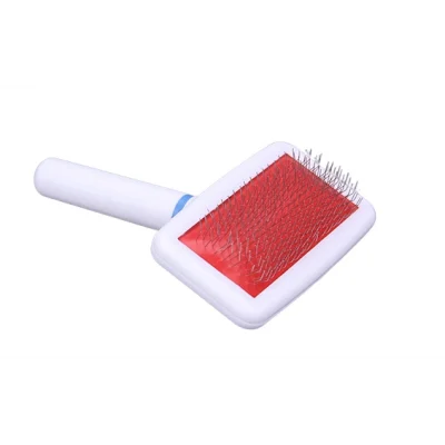 Kedi ve Küçük Irk Köpek Beyaz Saplı Tarak