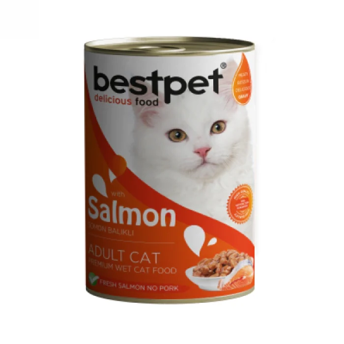 BestPet Somon Balıklı Yetişkin Kedi Konservesi 400gr