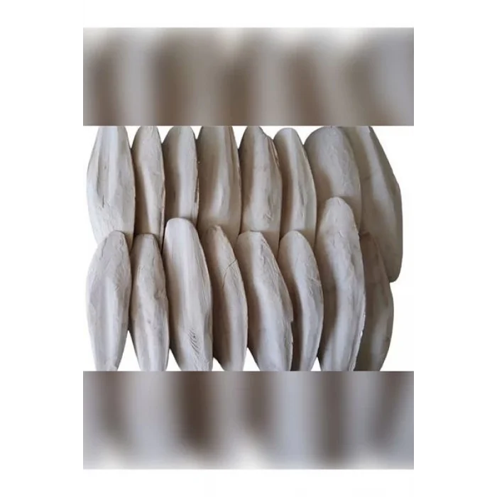 Kalamar Kemiği 200 Gr