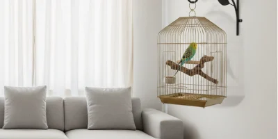 Muhabbet Kuşu ve Papağan Kafesi Nereye Asılmalı? En İyi Kafes Askısı Modelleri