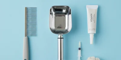 Kedinizin Bakımını Kolaylaştıracak 5 Pratik Ürün ve Kullanım Tüyoları