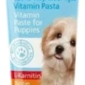 Bio PetActive Vitalidog Paste Junior Köpek Multivitamin Macunu 100 Ml