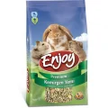 Enjoy Kemirgen Yemi 700 gr