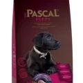 Pascal Puppy Kuzu Etli Pirinçli Yavru Köpek Maması 3 Kg