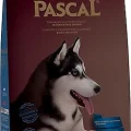 Pascal Somonlu Yetişkin Köpek Maması 15 kg