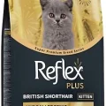 Reflex Plus British Shorthair Yavru Kedi Maması 1,5 KG
