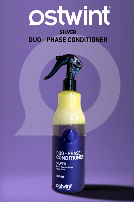 Ostwint Dual Phase Föhnwasser Silber 400 ml
