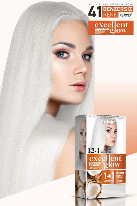 Ostwint Excellent Glow Extra Ashy Platinum No:12.1