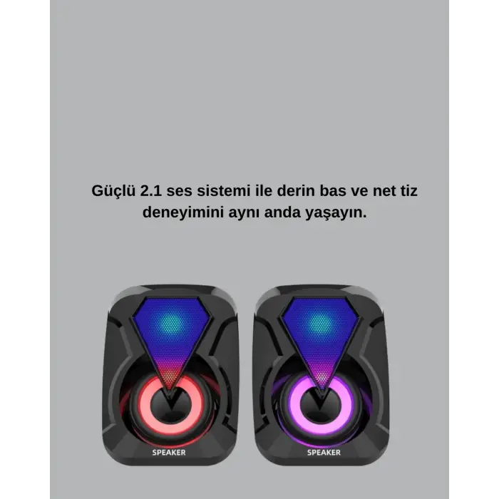 Renkli LED Işıklı Hoparlör