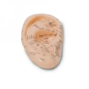 Akupunktur Kulak Modeli