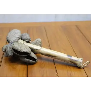 Coconat Sarkaçli Marakas Dıarta:2