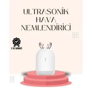 USB Şarjlı Mini USB Nemlendirici LED Işıklı Masaüstü Cihaz