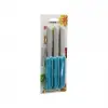 6PCS  MEYVE  BIÇAK  RENKLİ PLASTİK SAPLI (5047)
