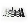 Okullara Özel Satranç Takımı (5047)