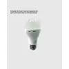 Şarjlı LED Ampul 30 Watt Soğuk Beyaz