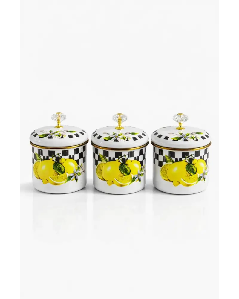 PR Home Lemon Emaye Baharatlık Seti 10 Cm