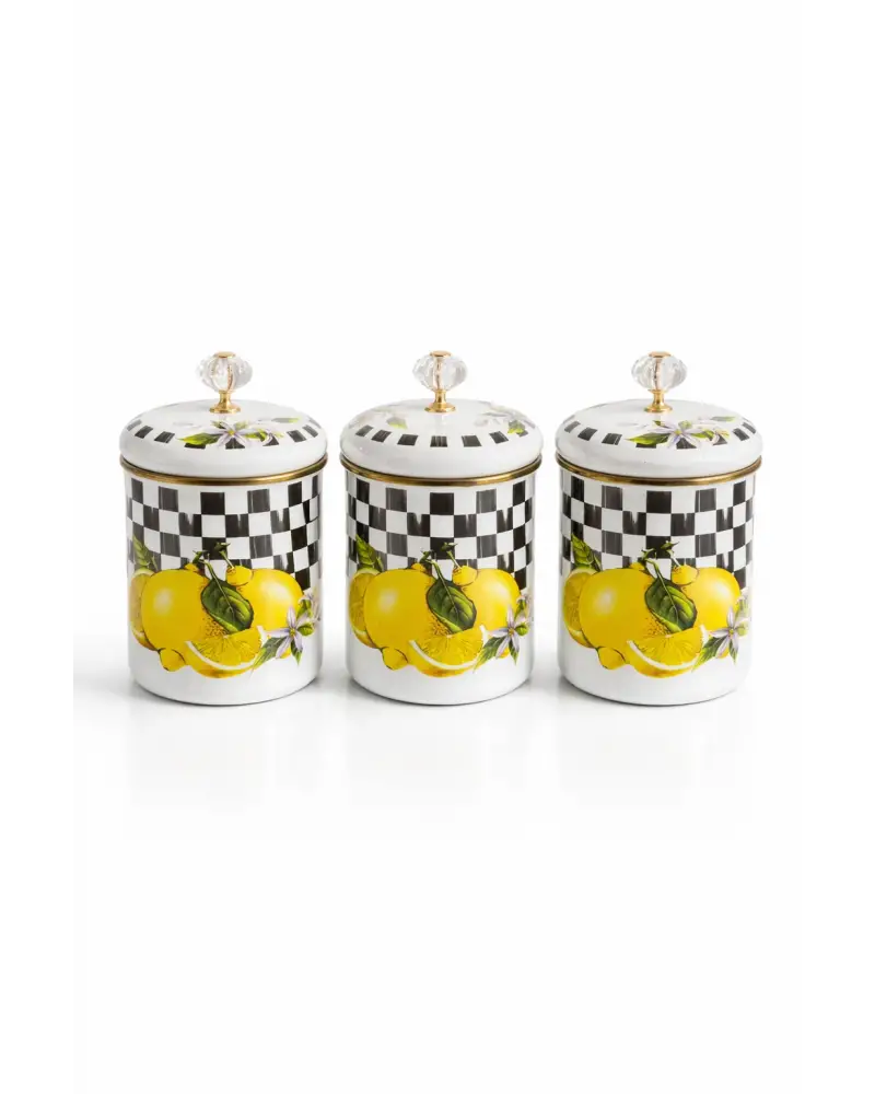 PR Home Lemon Emaye Baharatlık Seti 14 Cm