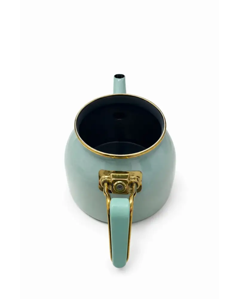 PR Home Soft Yeşil Rose Model Emaye Çaydanlık