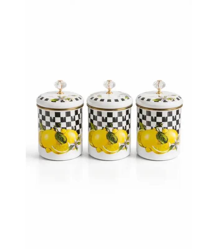 PR Home Lemon Emaye Baharatlık Seti 14 Cm