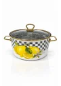 PR Home Lemon Emaye Kızartma Tenceresi 22 cm