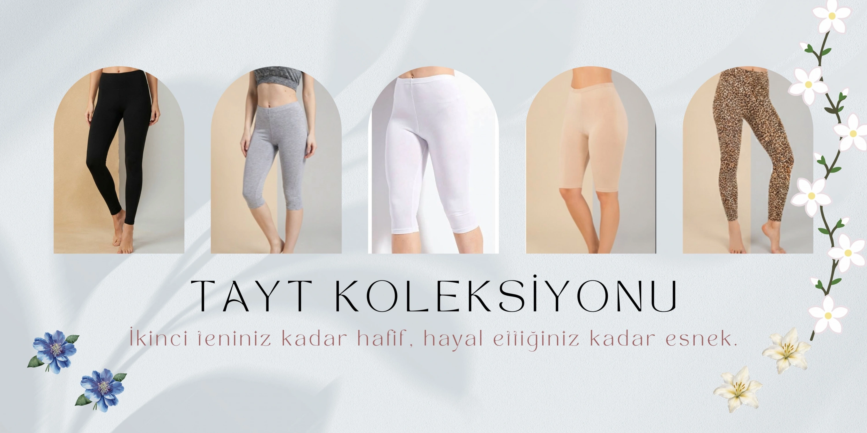 tayt