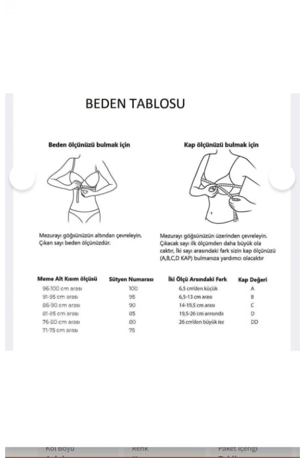Belvü Kadın Dolgulu Mikro Destekli Mor Sütyen