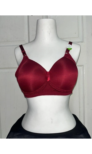 Nergiz Kadın C Cup Çizgi Desenli Toparlayıcı Bordo Sütyen