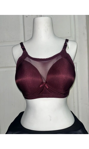 Nergiz Kadın C Cup Dantel Detaylı Toparlayıcı Mürdüm Sütyen