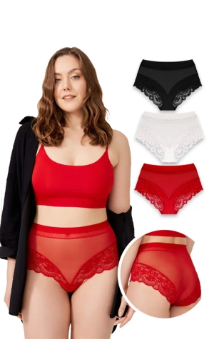 COTTONHİLL Dantel Detaylı Transparan Büyük Beden Bikini Külot-KIRMIZI