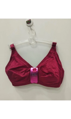 F.K Desteksiz Balensiz Toparlayıcı Desenli Bordo Sütyen - 1954