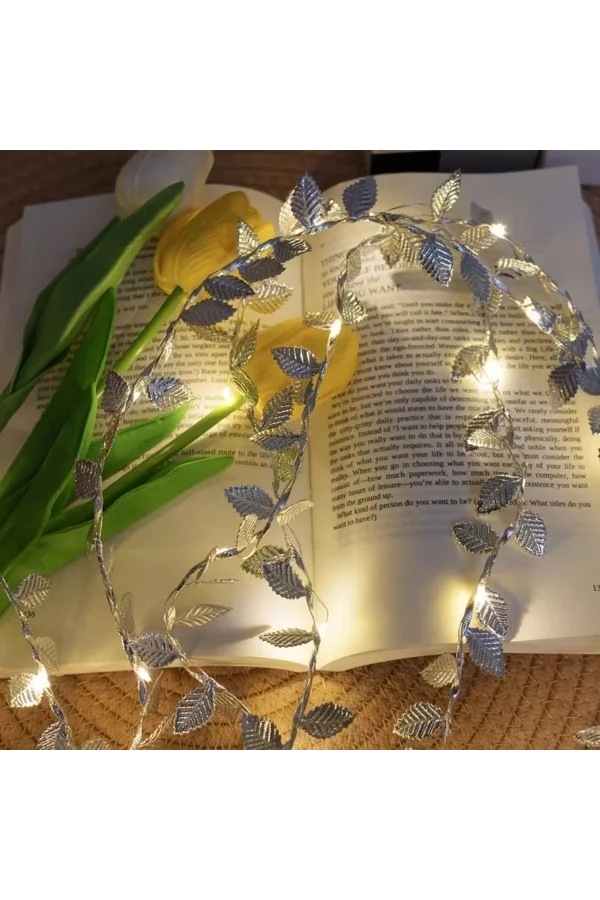 3 Metre Yaldızlı Gümüş LED Işık