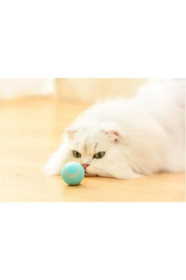 Akıllı İnteraktif Evcil Hayvan Oyuncağı