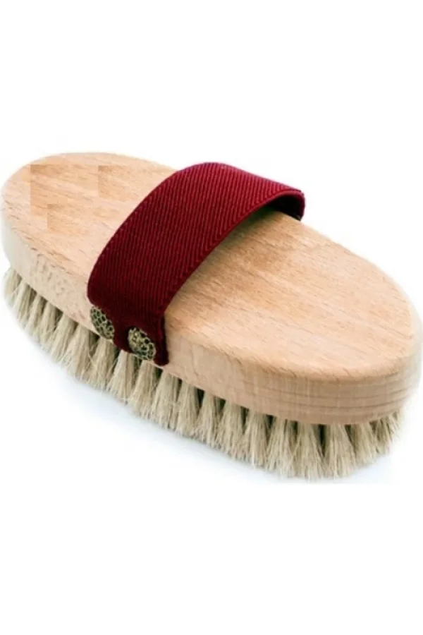 At Kılı Elbise Fırçası