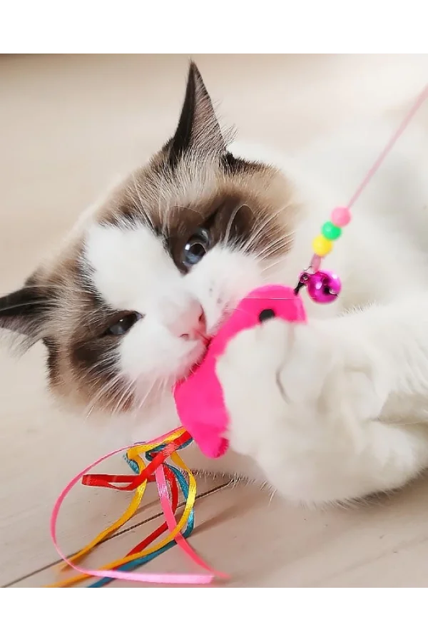 Balıklı Kedi Oyun Oltası