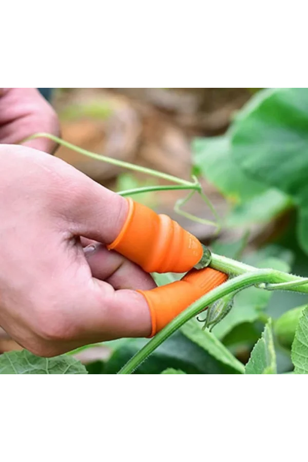 Baş Parmak Sebze Ayıklayıcı Set Kadın