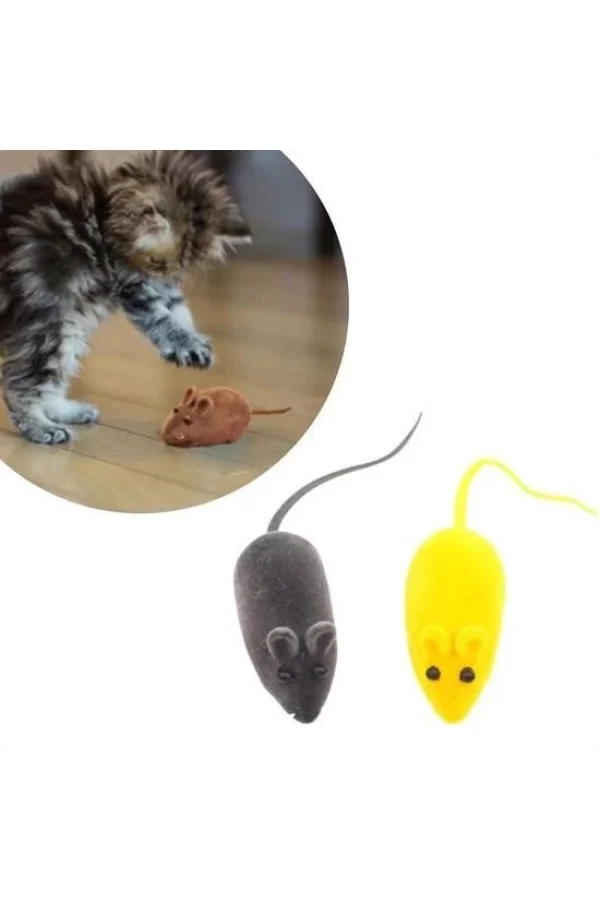 BUFFER® 2li Evcil Hayvan Eğitim Sevimli Elastik Kedi Fare Yakalama İnteraktif Sesli Eğitim Oyuncağı