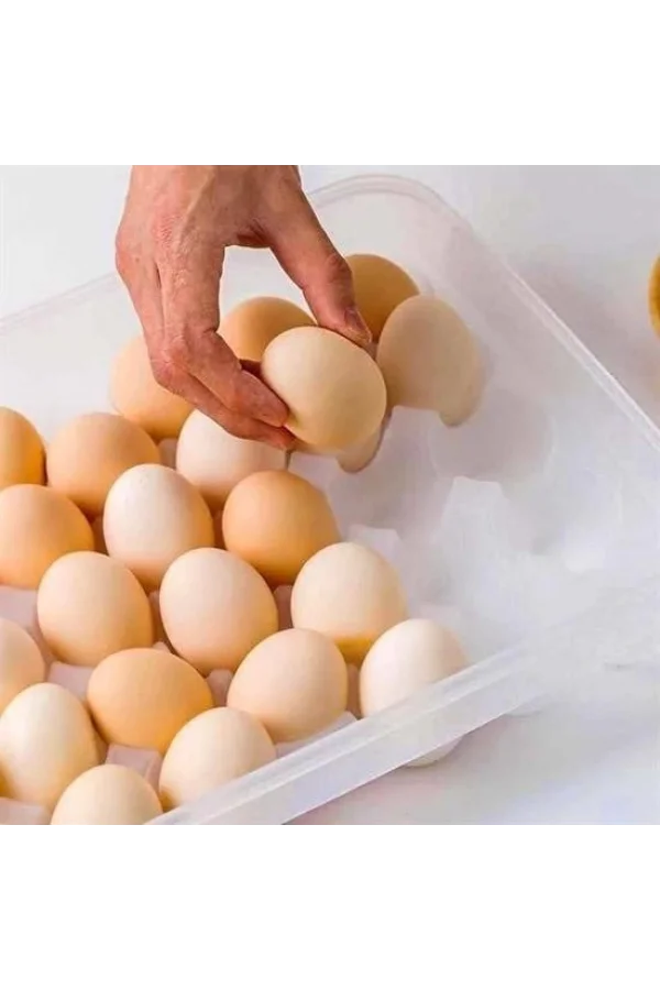 BUFFER® 30lu Yumurta Saklama Kabı