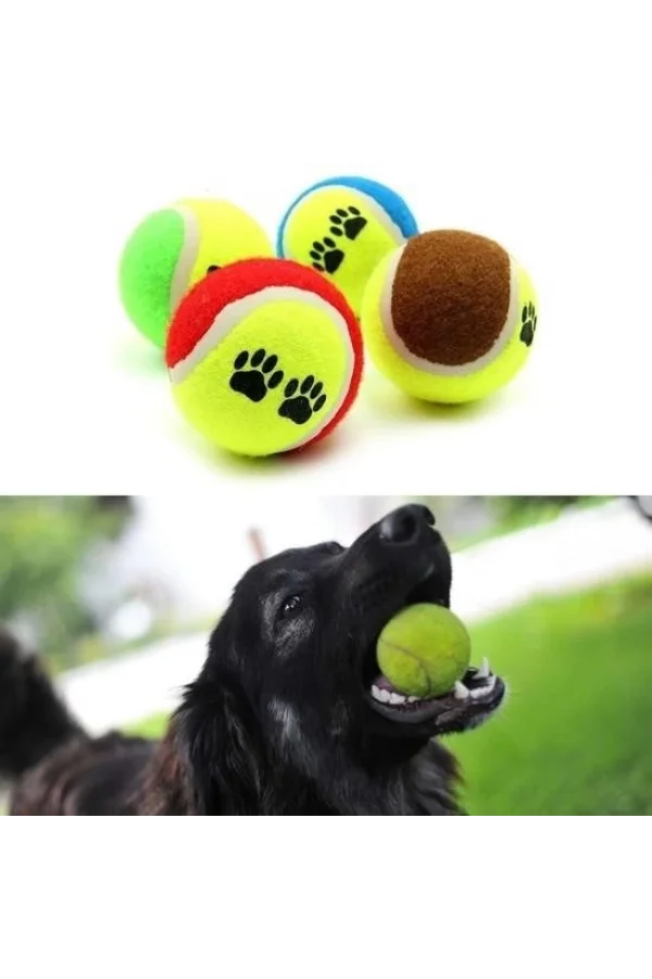 BUFFER®  3lü Renkli Desenli Tenis Topu Kedi Köpek Oyuncağı