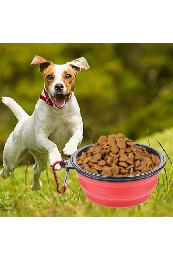 BUFFER® Katlanabilir Kedi Köpek Mama ve Su Kabı Köpek Oyuncağı