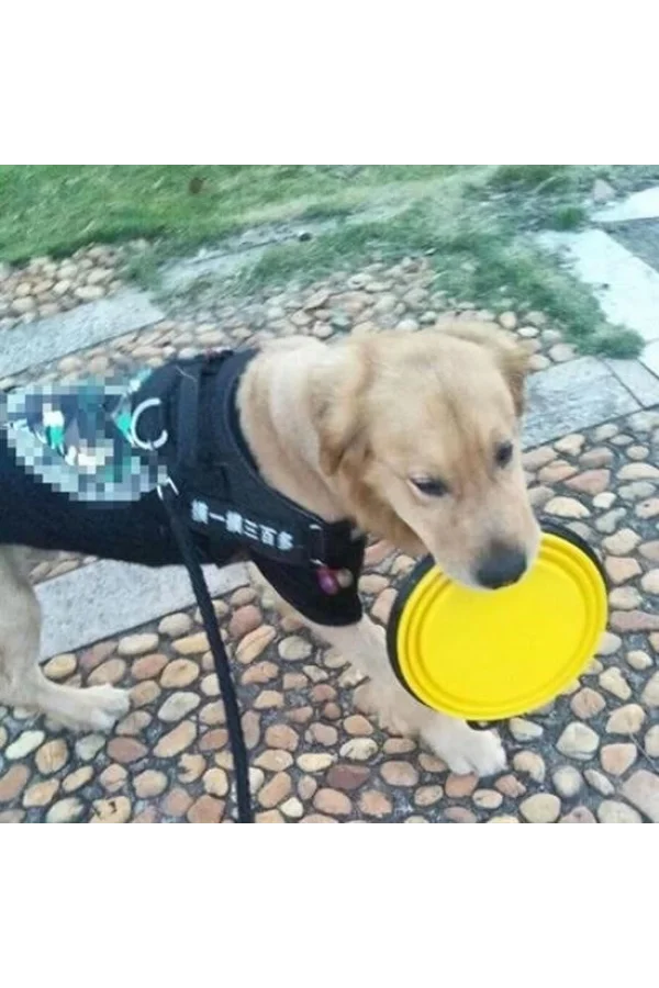 BUFFER® Katlanabilir Kedi Köpek Mama ve Su Kabı Köpek Oyuncağı