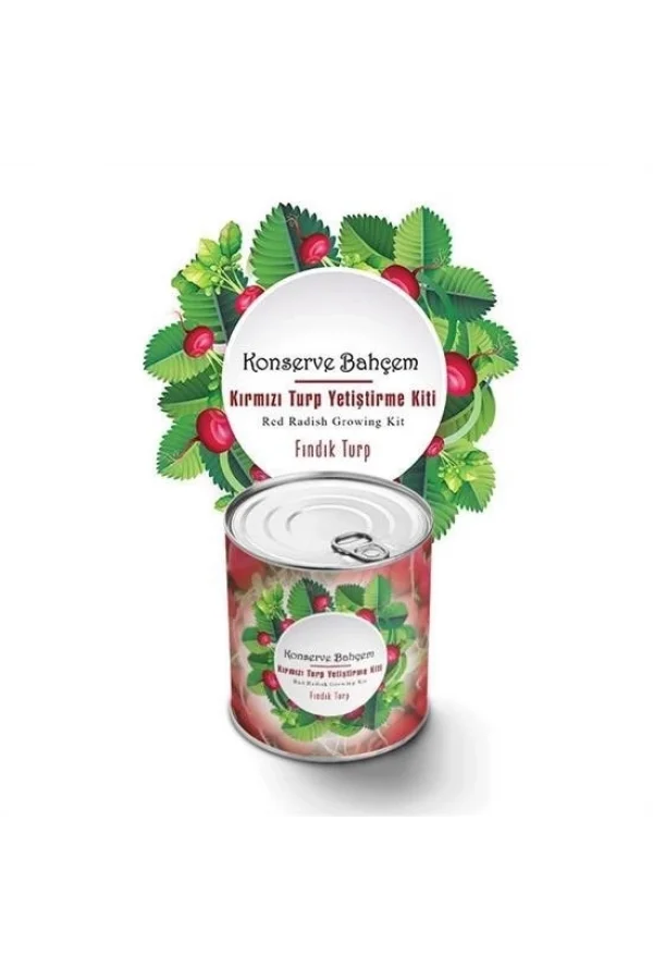 BUFFER® Konserve Bahçem Evde Konservede Fındık Turp Yetiştirme Kiti
